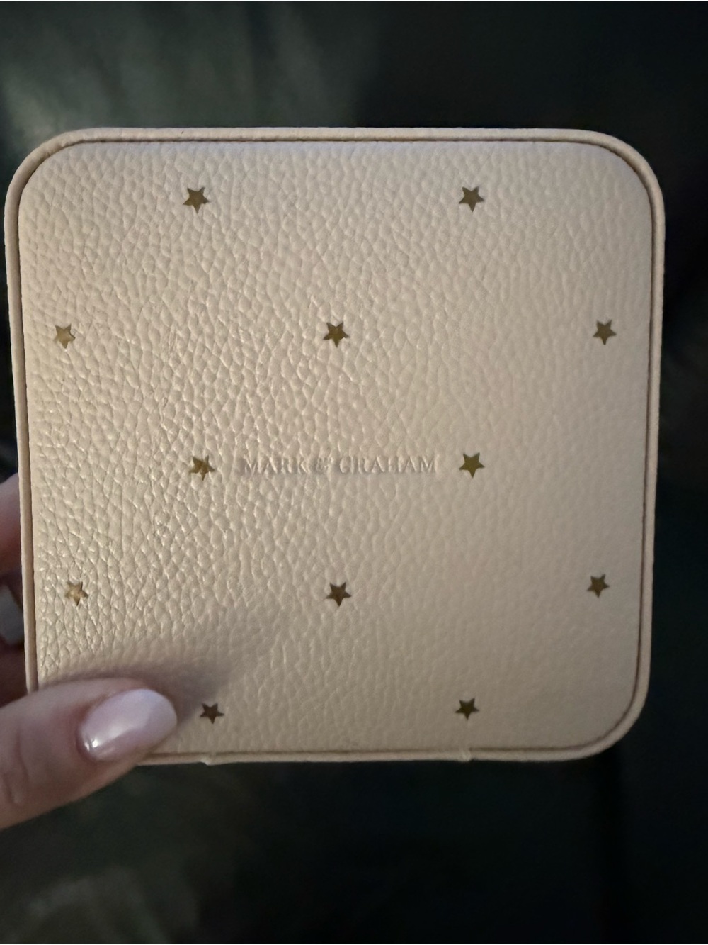 Mark & Graham Gold-Star Leather Jewelry Case in Pale Pink